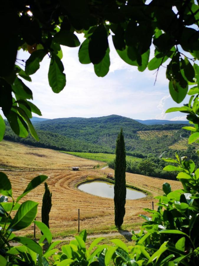 Allerona Agriturismo Selvella מראה חיצוני תמונה